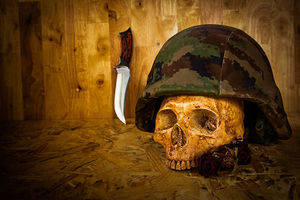 nature morte de soldier crâne - spooky cemetery single flower flower photos et images de collection