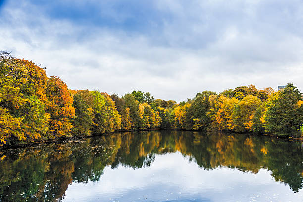 Orange  colored maple trees along a small lake  in fall in  Gustav Vigeland Sculpture park.  A public well known  park in  Frogner, Oslo, Norway