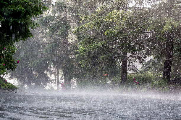 tempestade de verão. - chuva torrencial - fotografias e filmes do acervo