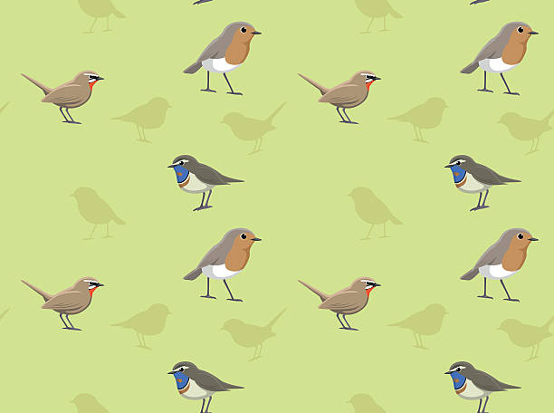 Bird European Robin Wallpaper Animal Wallpaper EPS10 File Format bluethroat stock illustrations