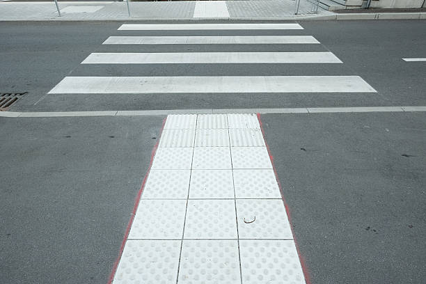 istock Nopps at attention field at a zebra crossing 616097856