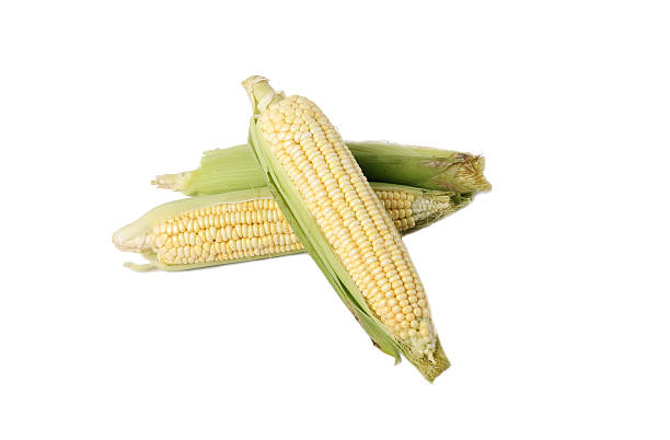 maíz  - white corn fotografías e imágenes de stock