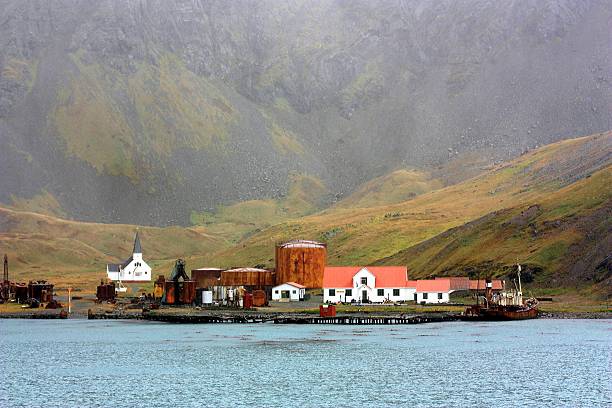 istock Whaling station Grytviken 616103134