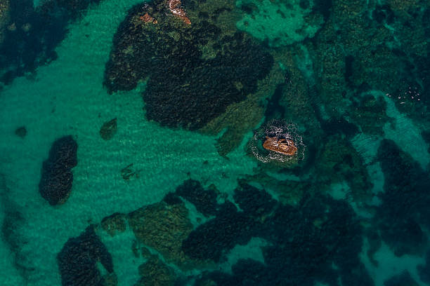 istock aerial view of the Greece coast line 616103256