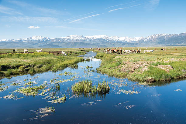 istock Alpine landscape in Northern California 616104168