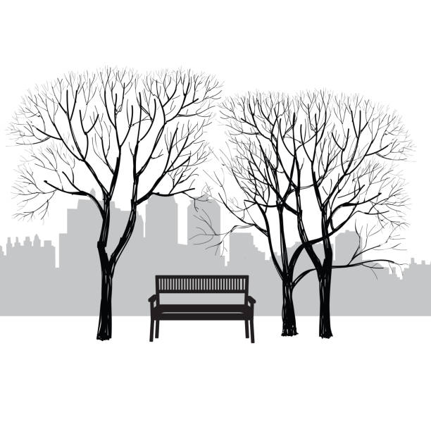illustrations, cliparts, dessins animés et icônes de arbre et banc dans le parc. paysage de jardin de la ville. paysage urbain naturel - bench park park bench silhouette