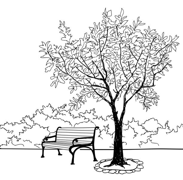 ilustraciones, imágenes clip art, dibujos animados e iconos de stock de árbol y banco en parque. paisaje de doodle garden. fondo de la naturaleza - loneliness backgrounds beauty beauty in nature