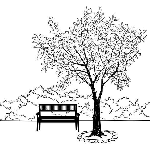 ilustraciones, imágenes clip art, dibujos animados e iconos de stock de árbol y banco en parque. paisaje de doodle garden. fondo de la naturaleza - loneliness backgrounds beauty beauty in nature