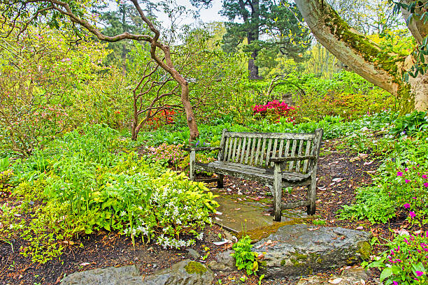 istock Old Bench In a Lush Garden After a Spring Rain 616105588