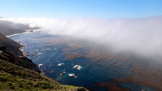 strato di nebbia costiera - inversion layer foto e immagini stock