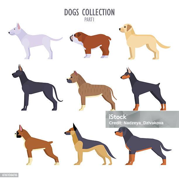 Dogs Collection Stock Illustration - Download Image Now - Labrador Retriever, Dog, Gold Colored