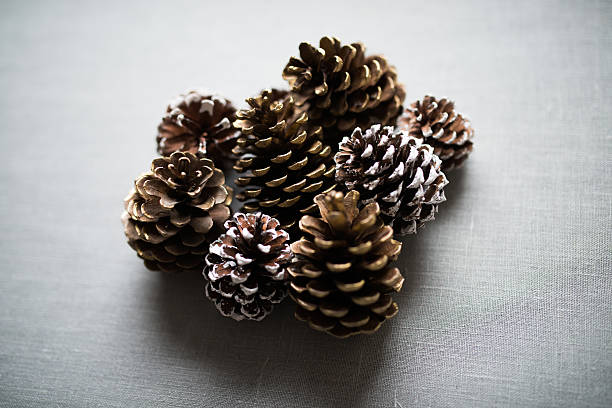 istock Pine cones for Christmas decoration 616108626