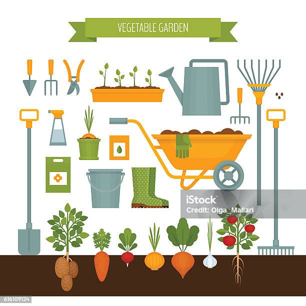 Jardin Potager Outils De Jardin Style Plat Illustration Vectorielle Vecteurs libres de droits et plus d'images vectorielles de Jardin potager