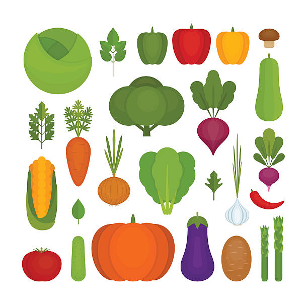 野菜アイコンセット。オーガニックで健康的な食べ物。 - asparagus vegetable white background freshness点のイラスト素材／クリップアート素材／マンガ素材／アイコン素材