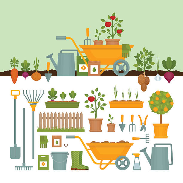 stockillustraties, clipart, cartoons en iconen met vegetable garden. garden tools. banner with vegetable garden. - tuin gereedschap