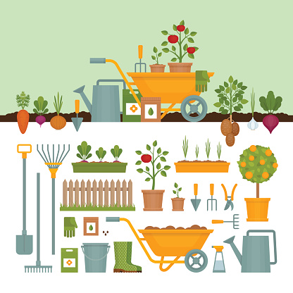 Vegetable garden. Garden tools. Banner with vegetable garden. Flat style, vector illustration.