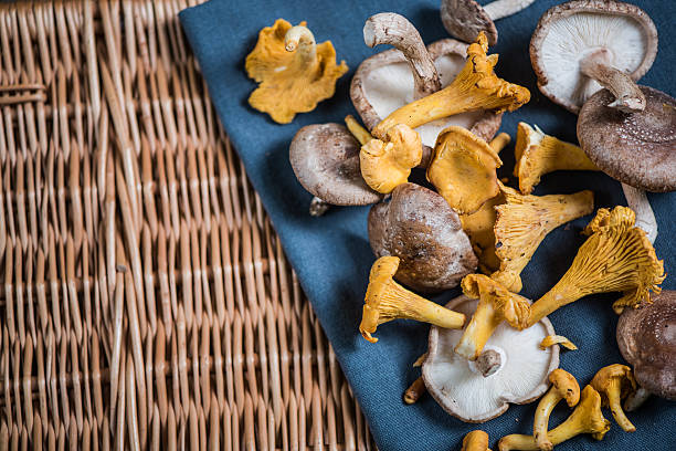 istock wild mushrooms on ratan basket 616109632