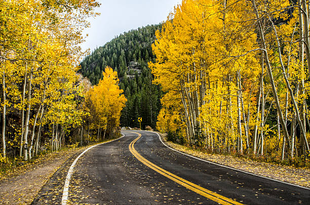 istock Independence Pass in the Colorado Rocky Mountains 616111678