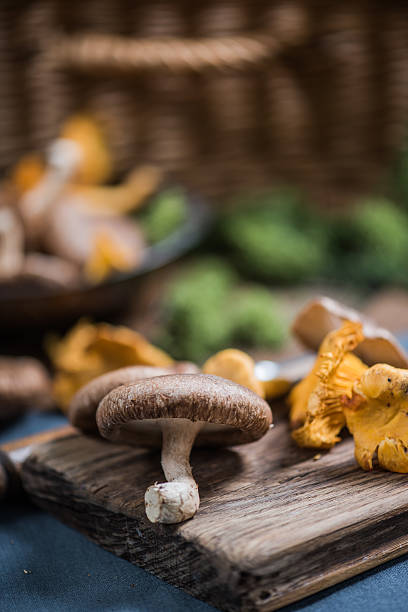 istock Wild mushrooms on wooden board 616113620