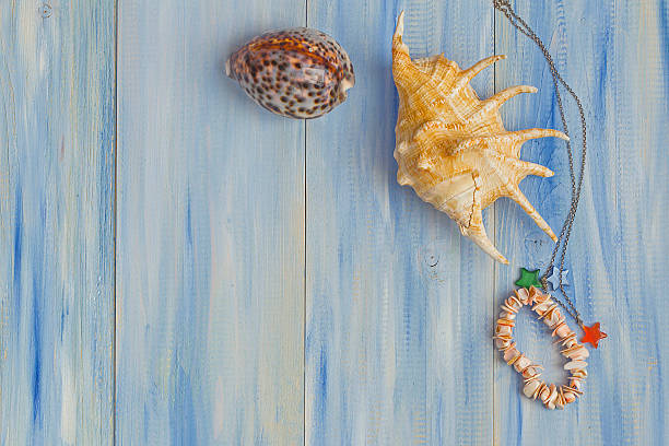 istock sea shell on a blue wooden background 616114412