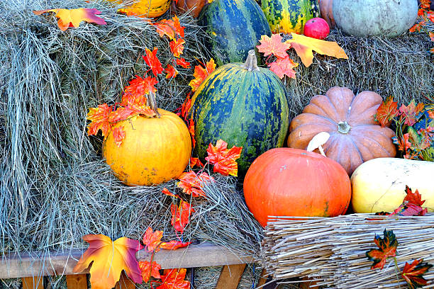 istock Pumpkins and autumn leaves in hay 616115866