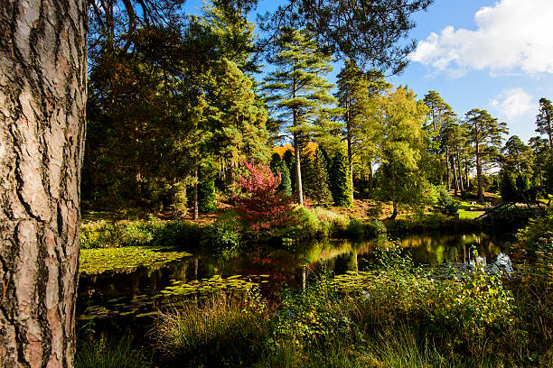 istock Autumn Colours in a park in Kent 616116532