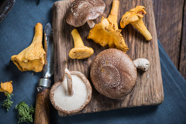 istock Wild mushrooms on wooden board 616117066