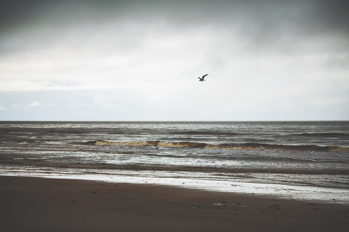 Rainy day at the ocean in Sankt Peter Ording