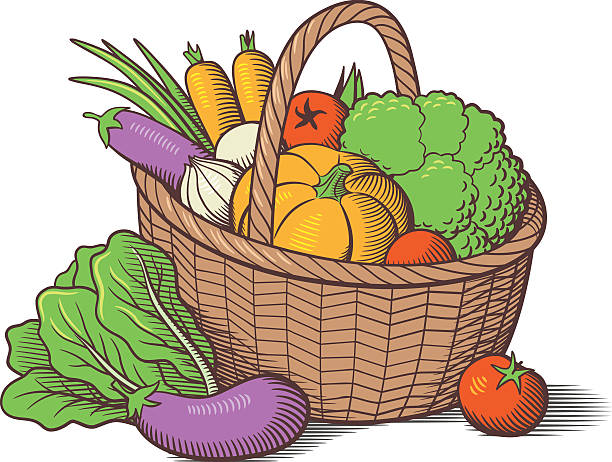 Vegetables in basket Vegetables in wicker basket. Stylized colored vector illustration. Cabbage, pumpkin, eggplants, tomatoes, onion, carrots, broccoli, lettuce engraving food onion engraved image stock illustrations