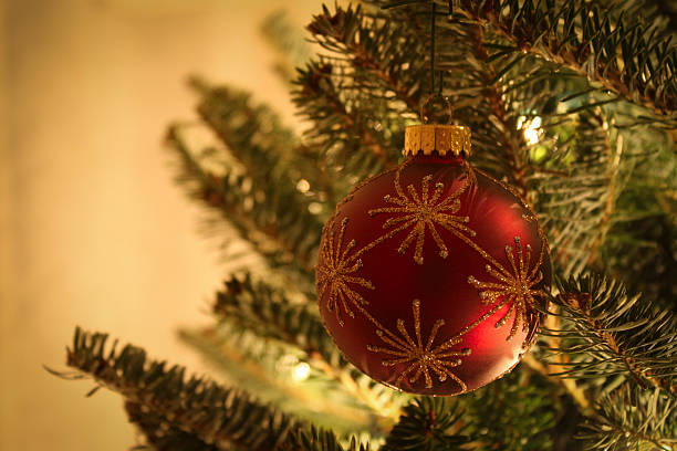 рождественский бал - noble fir стоковые фото и изображения