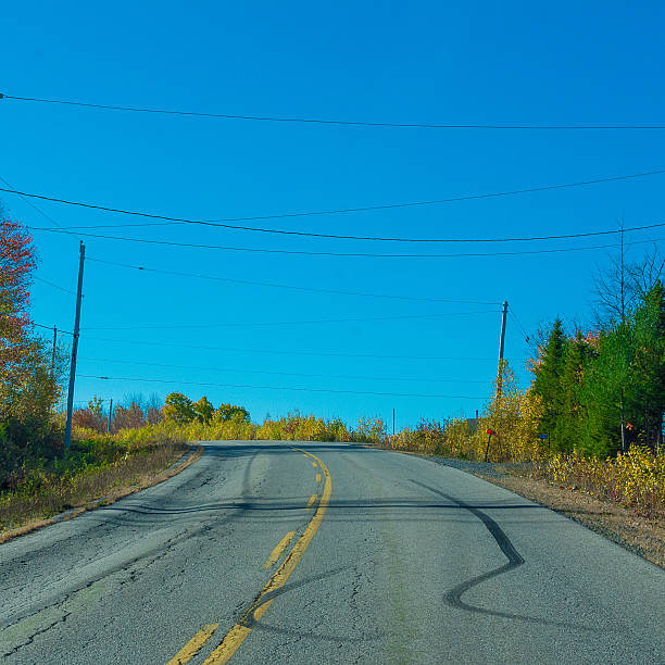 istock Tire marks on a country road. 616119312