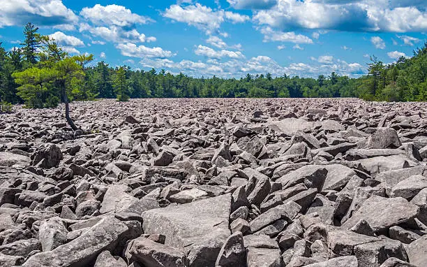 Photo of Boulder field in Hickory Run State Park