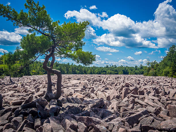 Boulder field in Hickory Run State Park Boulder field in Hickory Run State Park, Pennsylvania the poconos stock pictures, royalty-free photos & images