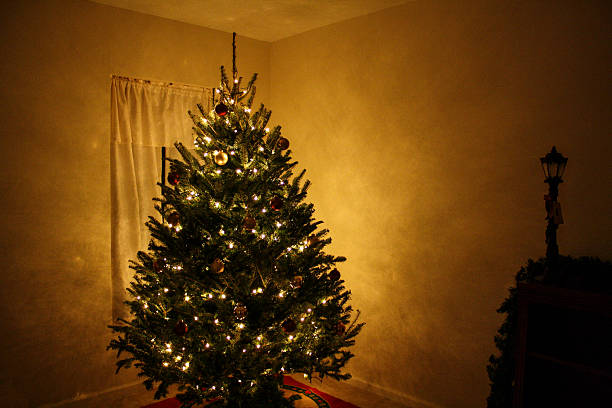 Free Stock Photo of Christmas tree with glowing lights and red ornament ...