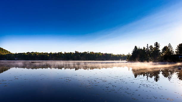 istock Autumn leaves, North Quebec Canada. 616120812