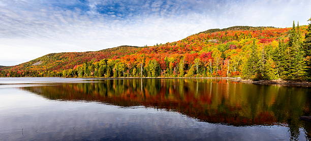 istock Autumn leaves, North Quebec Canada. 616121172