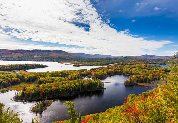 istock Autumn leaves, North Quebec Canada. 616121562