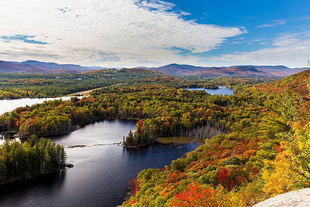 istock Autumn leaves, North Quebec Canada. 616121568