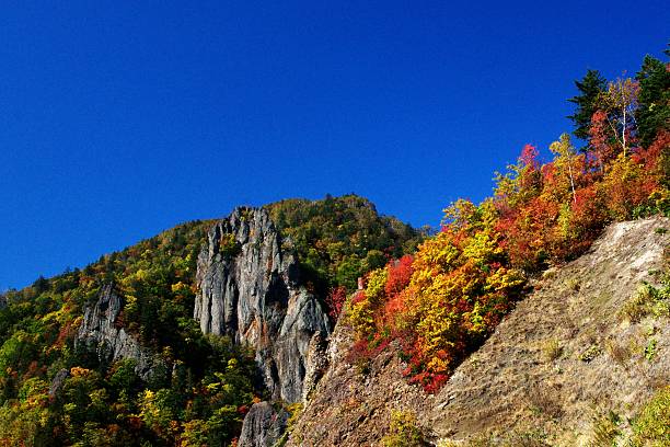 istock Hohei-kyo in a late fall 616121790