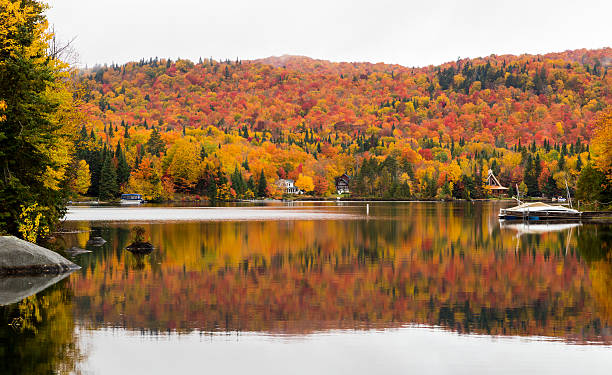 istock Autumn leaves, North Quebec Canada. 616122512
