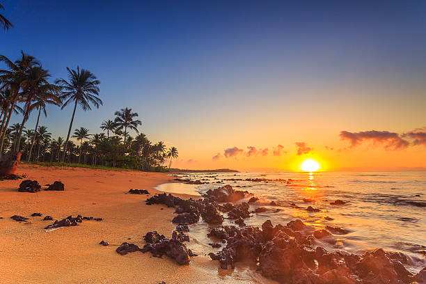 istock Sunrise at a brazilian beach 616122884
