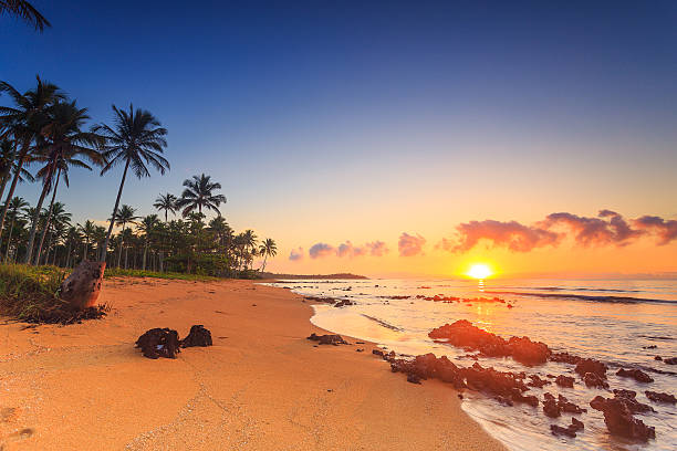 istock Sunrise at a brazilian beach 616123078