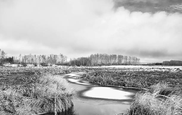 istock Winding stream in black and white landscape 616123526