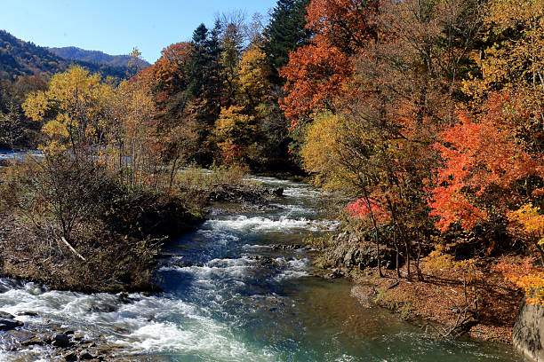 istock Sandandaki park of autumn leave 616124374