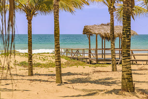 istock Puerto Lopez Beach Ecuador 616125026