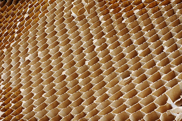 istock Honeycomb cardboard cells abstract 616125306
