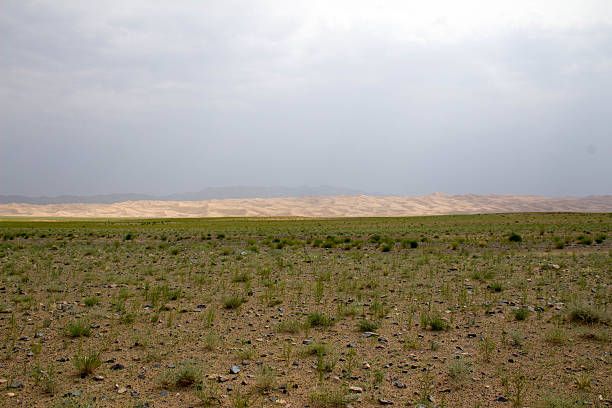 The massive sand dunes of Khongoriin Els, a part of the Gobi Desert and a part of the Gobi Gurvansaikhan National Park.