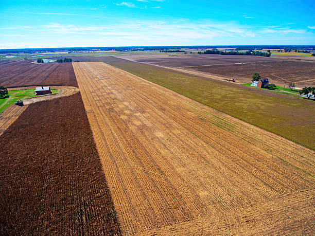 cornfield et de - corncrib photos et images de collection