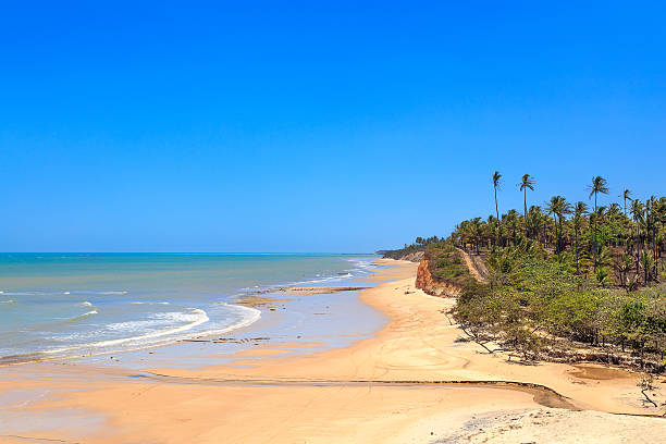 istock Sunny beach in Brazil 616128344