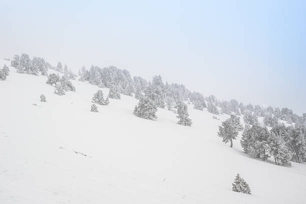 istock Winter Landscape with Snow and Trees 616132364